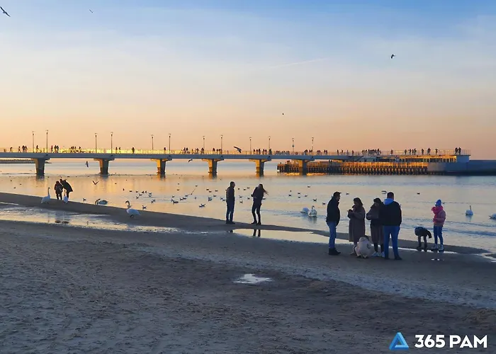 365pam - Alabaster - Basen, Sauna, Jacuzzi, Silownia, Restauracja Kolobrzeg